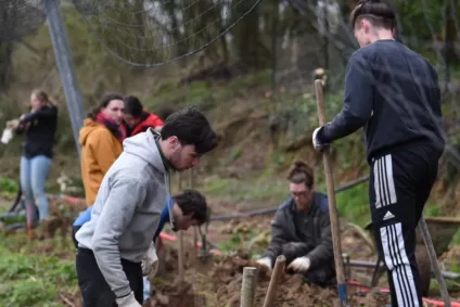 Chantier solidaire : 100 bénévoles plantent 5000 haies pour la biodiversité